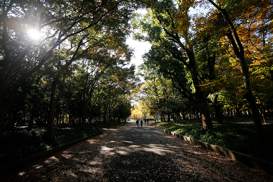 母子と老人と大学生っぽいカポーしかいない日中の大阪城公園。